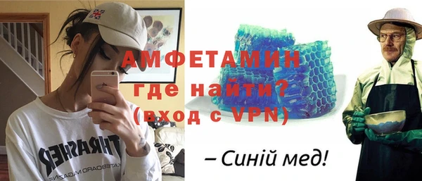 индика Алексин