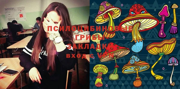 индика Алексин