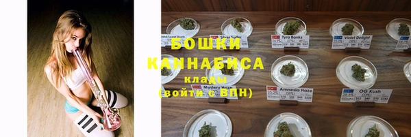 мдпв Михайловск