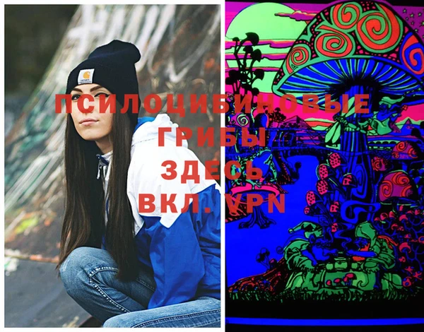 мдпв Михайловск