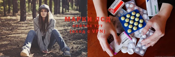 индика Алексин