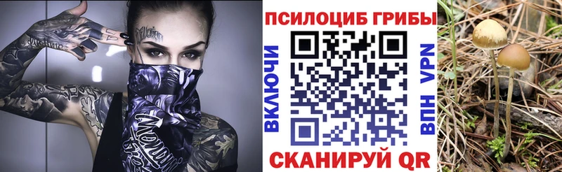 Псилоцибиновые грибы мухоморы  что такое   Разумное 